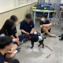 전주효정중학교 이미지