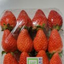 장희농장 이미지