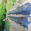 우애농장 이미지