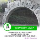 소통하는 나무 | 대구 근교 나들이 가야산 야생화 식물원 주차 방문후기