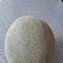 영태농장 이미지