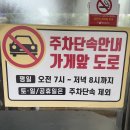 홍굴부추칼국수 티스토리