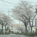 호근서호로 이미지