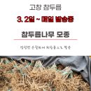 주식회사 나무에프앤비