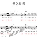 문어의꿈 이미지
