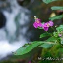 계곡예쁜집 이미지