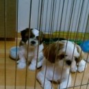 태평4동 이미지