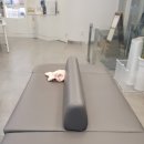 올케어 동물의료센터 이미지