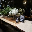 라움드포레