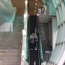 용인대엘리트태권도체육관 이미지