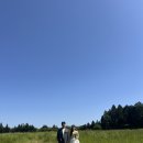 정미목장 | W 06. [제주도 스냅 촬영] 무드보드제주 후기