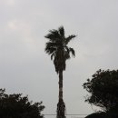 표선 교차로 3 이미지