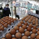 박정호농장(1농장) 이미지