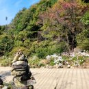 구절암 | 공주 가을여행 가볼만한곳 구절산 구룡사 구절초축제 끝났어도 좋아