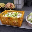 중1동 주민센터 이미지