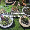 원예심리치료 전문가 교육과정 네이버블로그