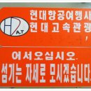 포항여행사 이미지