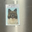 다이어트캠프 | 숀리다이어트캠프 후기 2. 합숙다이어트장단점 리얼기록