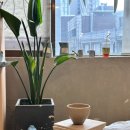 내 손으로 빚는 도자기 이미지