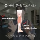 남서울체형교정센터 이미지