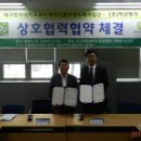 성보촌야외수영장 이미지