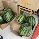 쥬씨청라