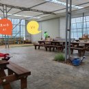 삼오농장 이미지