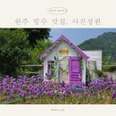카페426 | 원주 빙수 맛집 사진정원! 수국 만나고 온 불멍카페 후기