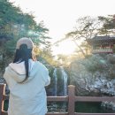 경북광역이동지원센터 | 경북 백두대간 트레일6 챌린지 2차 후기 : 상주 속리산(문장대, 신선대, 천왕봉, 장각폭포)