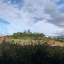 솔향빨래방 이미지