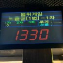 보드타는물고기 이미지