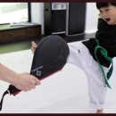 경희대 KTIGERS 태권도 이미지