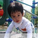은찬이네카페 Daum카페