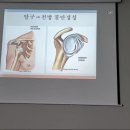 하나정형외과 티스토리