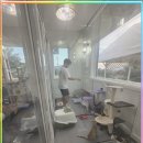 고양이 생활 호텔 이미지