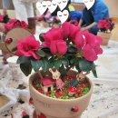 가평초등학교병설유치원 이미지