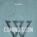 (주)위너