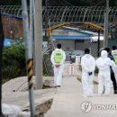 화성양돈2 이미지