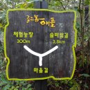 각골농장 티스토리