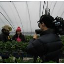 김이순농장 이미지