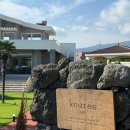 씨너리 | 야외 정원이 있는 제주 애견동반카페, 서귀포카페 너리