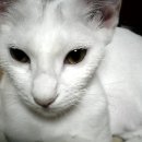 여주-0207 이미지