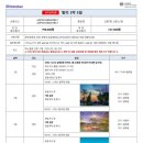다미투어주