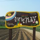 은하농장 이미지