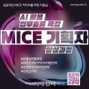 케이솔루션투어