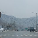금왕송어회 | 평창 메밀나라 & 용천송어~~ 만석닭강정 후기까지!