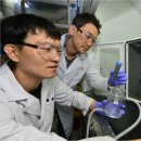 연합왕겨 이미지