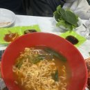 회세상오징어나라