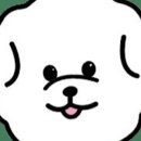 히포파통 이미지