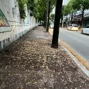 이승희헤어샵 이미지